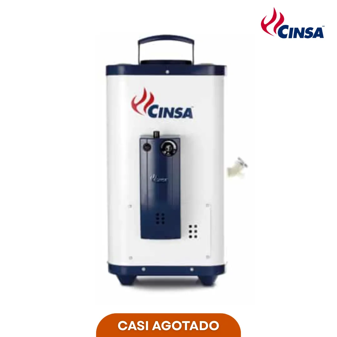 CINSA