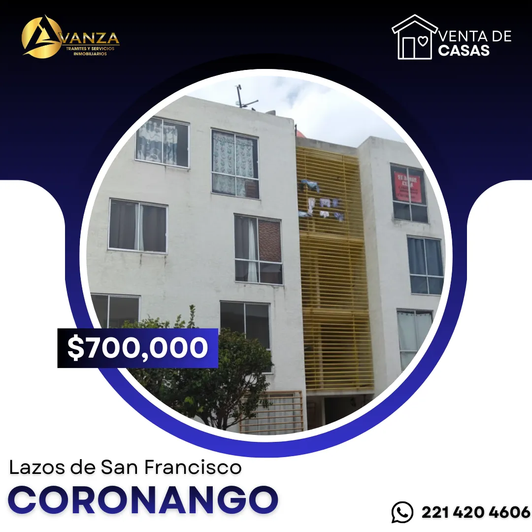 Lazos de San Francisco 2